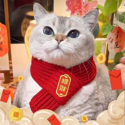 Jahr der Schlange Glückskatze Schal Neujahr Haustier Nackenwärmer Welpe Gestrickt Festlich Winter Warmes Accessoire Katze Nackenwärmer