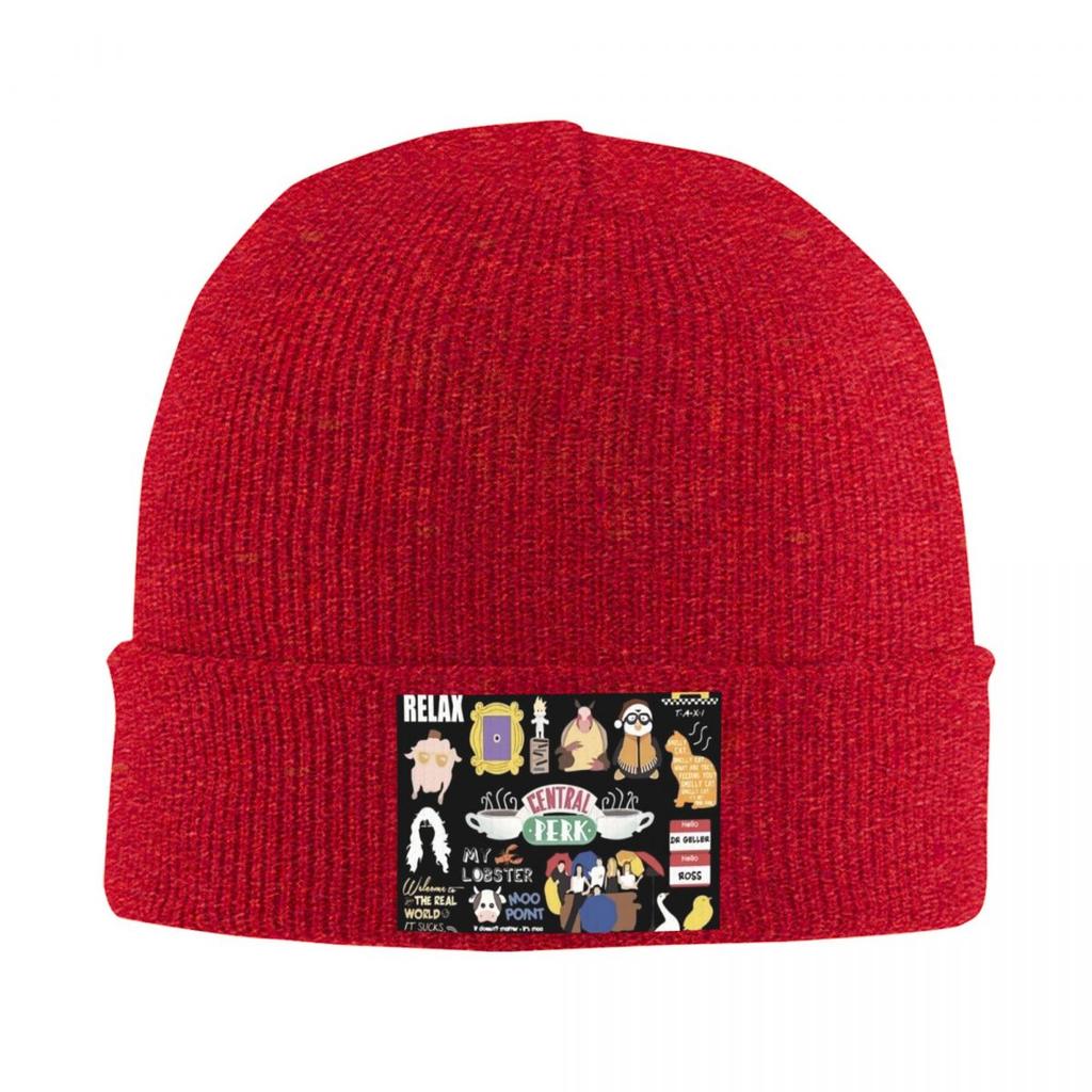 Unisex Funny Friends Collage Warm Knitted Cap Winter Knit Bonnet Hat Skullies Beanies Hip Hop Caps for Unisex