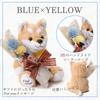 liLYS Preserved Flower Shiba Inu Plush Toy with Single Perfect Gift for and Birthdays Blue x épice Rose, Celebrations, Anniversaries, (Shiba Inu,