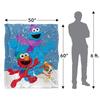 Sesame Street Furry Friends Snow Blanket
