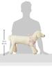 ONS Striped Soft Harness Multi-White M Size
