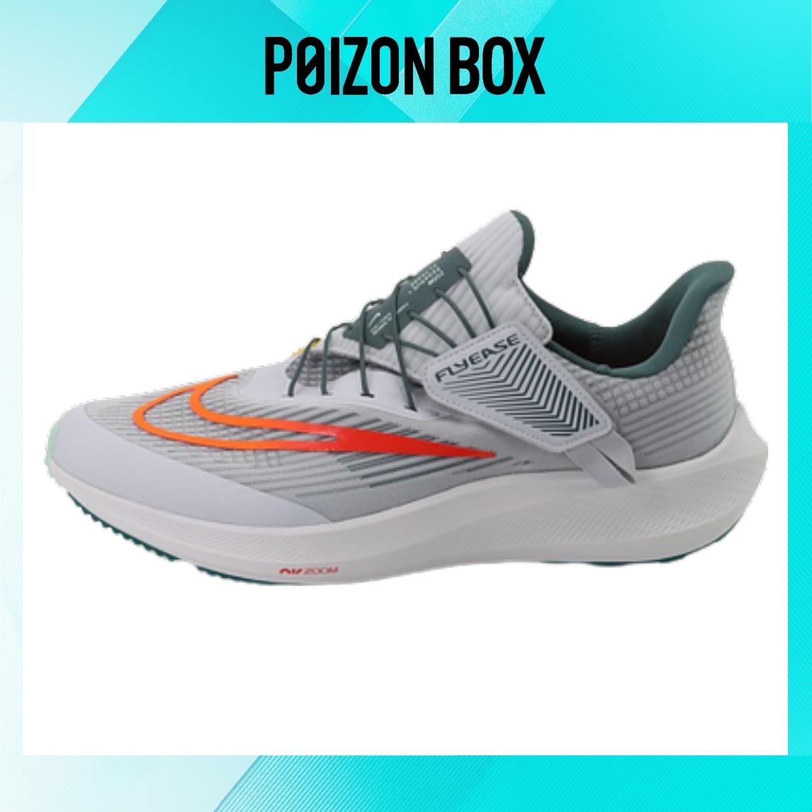 

кроссовки Nike Pegasus FlyEase Running shoes Men DJ7381-002