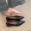 French Pointed Thick Heel One-pedal High Heels Spring Evening Commute Versatile Shallow Mouth Single Shoes