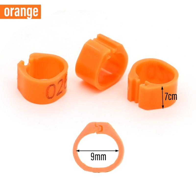 100 Piezas Nuevos Anillos para Patas de Paloma Identificar Bandas para Palomas 8 mm Clip de Plástico para Loro Anillo Digital para Pie Suministro para Entrenamiento de Palomas Aparatos para Pájaros