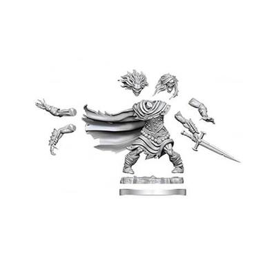 D&D Frameworks Miniature Model Kit (Wight)