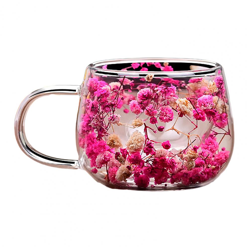 Double Wall Glass Coffee Mugs Set of 4 High Borosilicate Insulated Cups with Colorful Petal Design for Tea