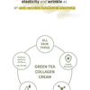 the SKIN HOUSE - Green Tea Collagen Cream