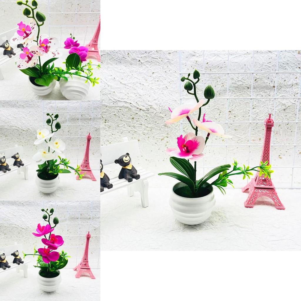 Plastic Orchid Bonsai Ornament With Injection Molded Finish For Living Space And Gift Ideas