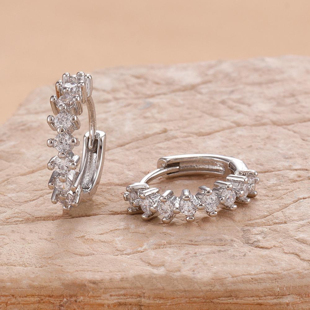

2 PCS Classic Fashion Crystal Zircon Circle Small Hoop Earrings Women Stainless Steel Geometry Cartilage Piercing Earring
