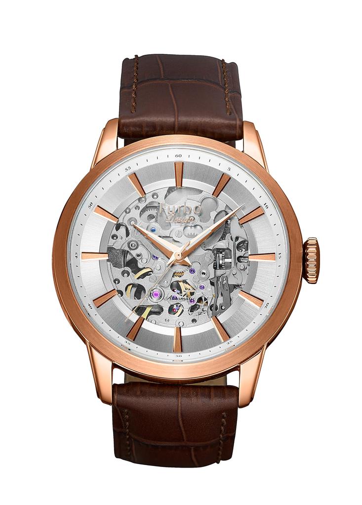 Watch Furbo Design Brown [Furbo Design] NF04W-PGBR Men's