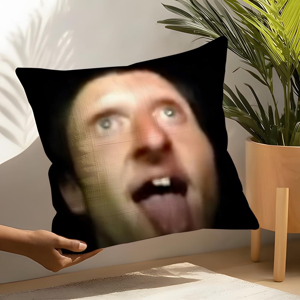 Funny Ddaniel larSson meme Pillow Case Home Living Room Decoration Linen Pillow Cases Cushion Cover