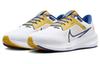 Nike Air Zoom Pegasus 40 'North Carolina A&T' DZ5952-100