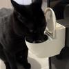 Toilet Cat Water Bowl Toilet-Shaped Funny Pet Bowl Stainless Steel Bowl Water Dispenser Hilarious Bowl Attracts Your Cat Drink More Water for Indoor