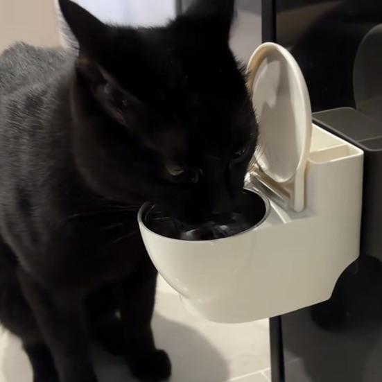 Toilet Cat Water Bowl Toilet-Shaped Funny Pet Bowl Stainless Steel Bowl Water Dispenser Hilarious Bowl Attracts Your Cat Drink More Water for Indoor