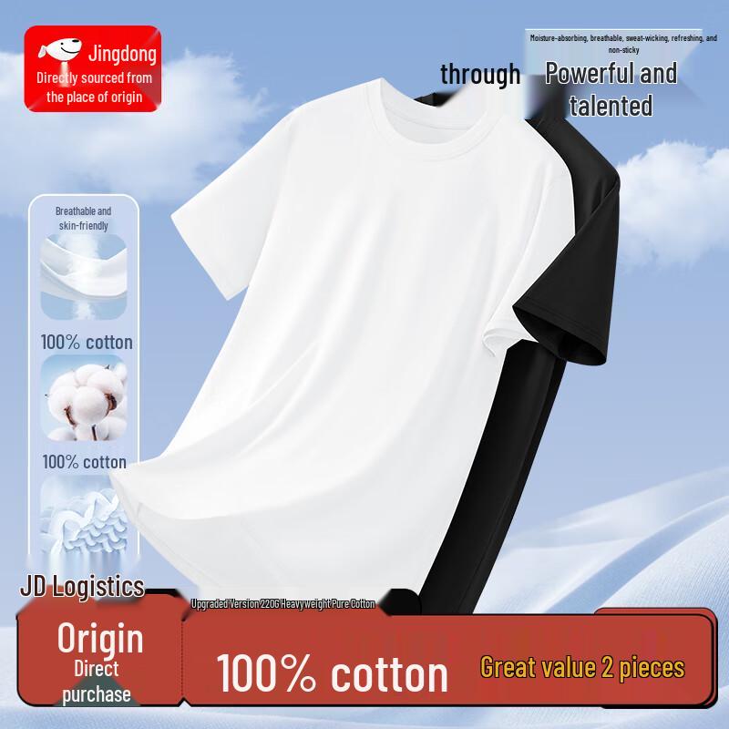 Men's Heavyweight Cotton Round Neck T-Shirt (2-Pack)