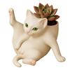 Flower Pot Grooming Cat Shape Planter Pot Stress-Relief Mood Booster Indoor Plant Pot Office Desk Decoration