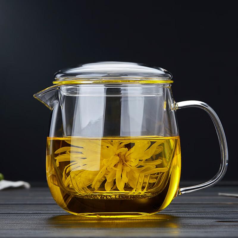 Large Capacity High Borosilicate Glass Tea Infuser Mug