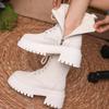 Fashion Women's Winter Warm Short Plush Ankle Boots Comfy Pu Leather High Heels Botas Mujer Fashion Lace Up Zip Platform Combat Boots