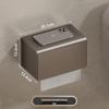 Space Aluminum Wall-Mounted Towel & Tissue Holder