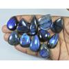 290Cts.Natural Labradorite Blue Flash Pear Cabochon Loose Gemstone 11Pcs Lot LL-1062
