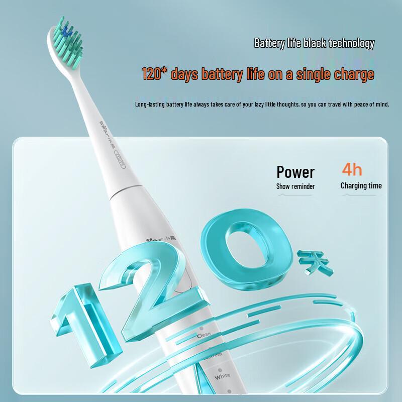 Bear Electric Sonic Rechargeable Toothbrush