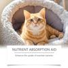 Kriath Cat Probiotic Drops 60ml - 3-in-1 formula promotes gut balance & comfort, boosts gut health & immunity, pet health care product.