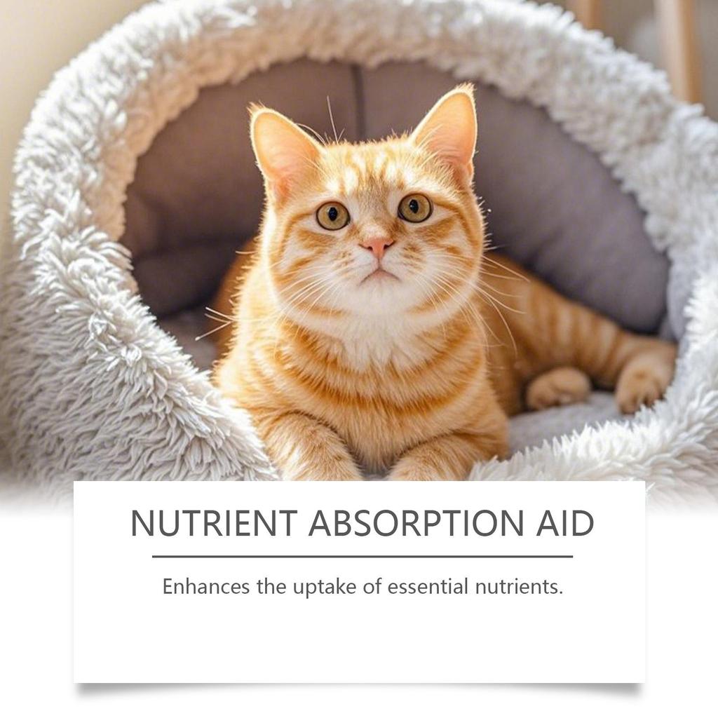 Kriath Cat Probiotic Drops 60ml - 3-in-1 formula promotes gut balance & comfort, boosts gut health & immunity, pet health care product.