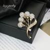 Korean Fashion High-Grade Diamond Brooch - All-Match Anti-Exposure Suit Collar Pin
