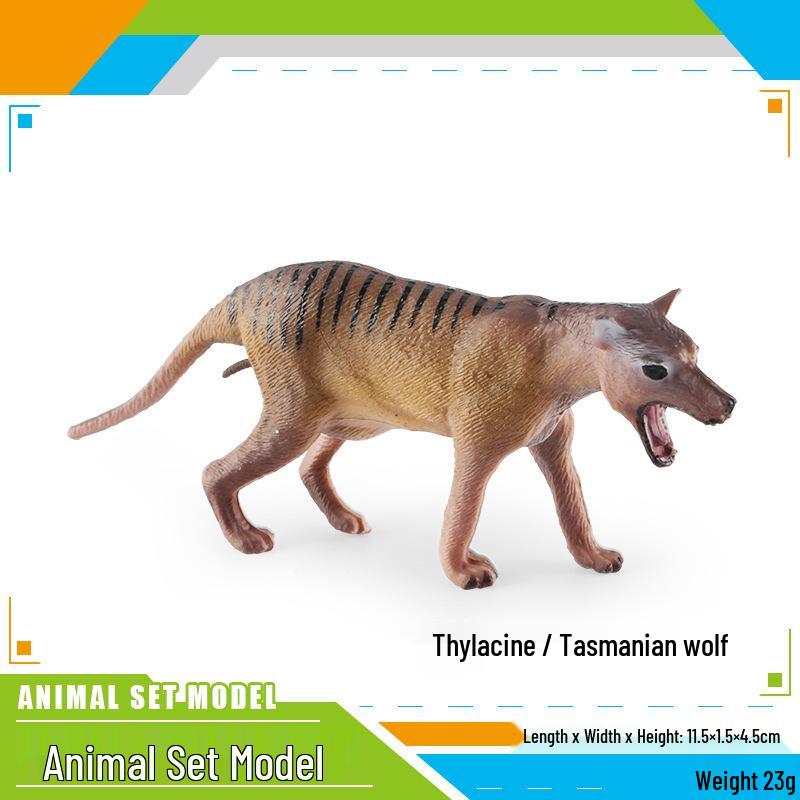 Maned Wolf and Bush Dog Desktop Model - Children s Science and Education Decor