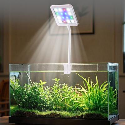 Pești și animale marine – Iluminare acvariu