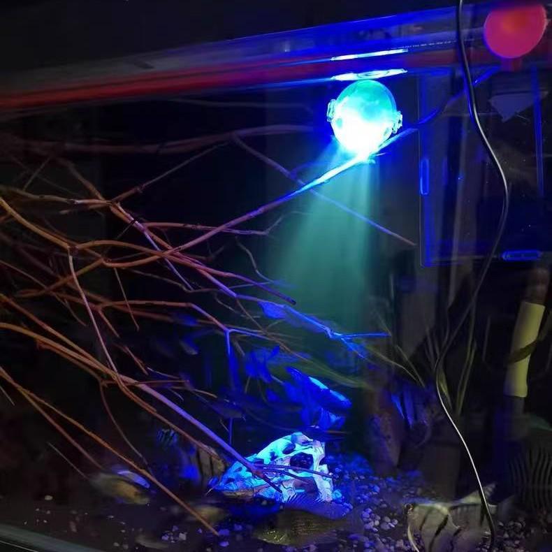Waterproof LED Aquarium Light with Remote Control, Submersible Spotlight, Seven-Color for Plants and South American Night Landscaping