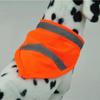 Chihuahua Teddy Pet Bryndáčky Reflexní Psí Ručník na Sliny Fluorescenční Psí Šátek Bandana pro Psy Suchý zip Svítící Psí Obojek