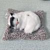 Activated Carbon Cat Car Ornament: Formaldehyde-Removing Air Purifier and Cute Simulation Doll
