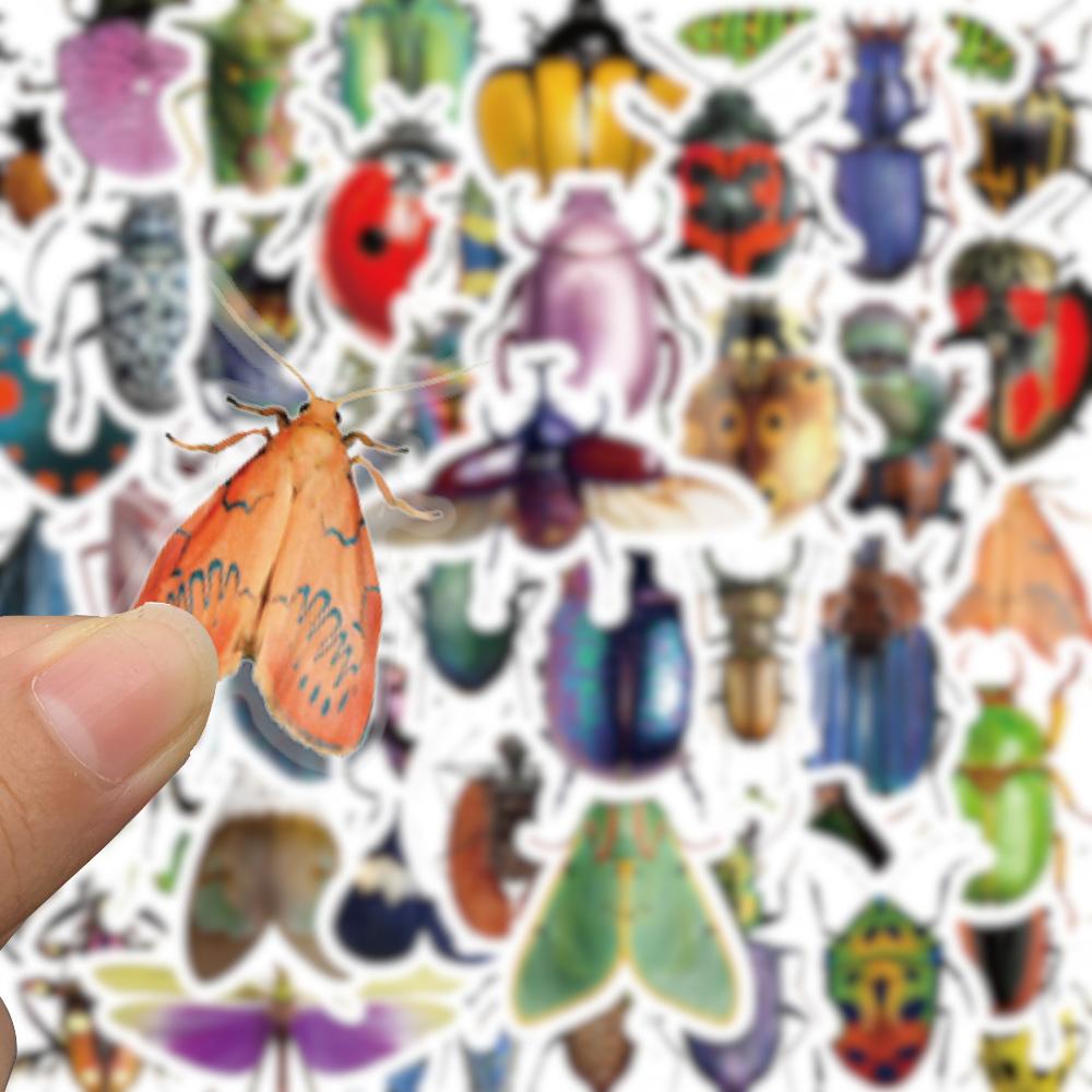 50 PZ Adesivi di Vari Insetti e Coleotteri Carini Adesivi Didattici per Insetti Adesivi da Collezione per Amanti degli Insetti