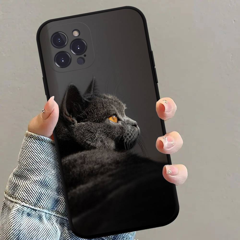 British shorthair cat Phone Case Black Soft Silicone TPU Phone Case For IPhone 11 12 13 14 15 16 17 Pro Plus Mini Max