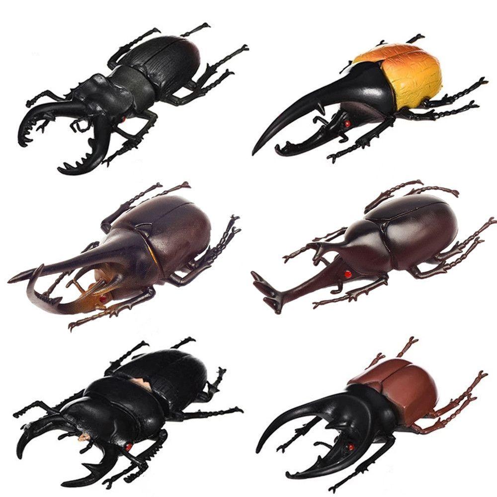 Joke Toys Fake Beetle Kids Special Lifelike Model Simulation Beetle Beetle Toys Insect Model