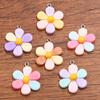 10Pcs 24*30mm DIY Resin Accessories Plant Flower Pendant Jewelry Accessories