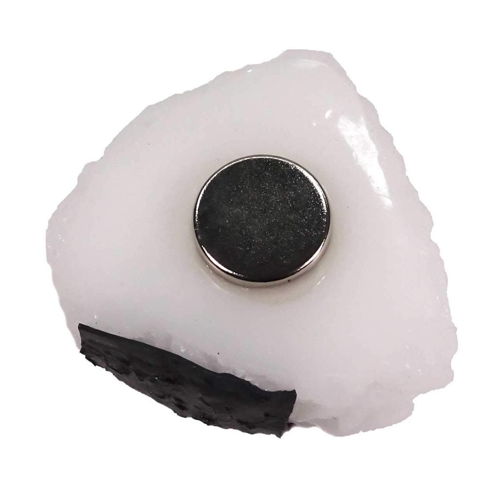 Magnes Próbka Jedzenia Kulka Ryżowa Wygląda Jakby Można Ją Było Zjeść 323M - -