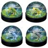 Kitan Club Water Dome Factory Japanese Tree Frog X Complete Set of 4 Types Full Complement Gacha Capsule Toy