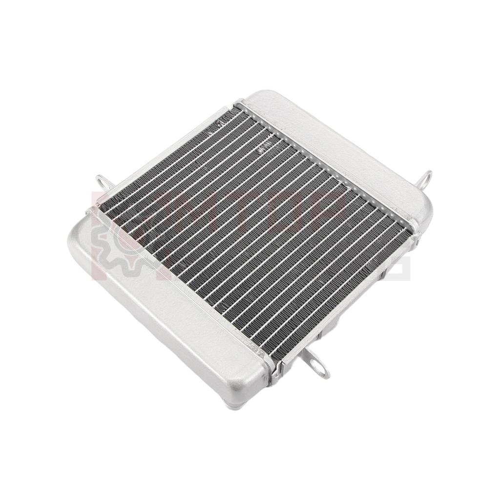Motorcycle Aluminium Cooling Radiator Water Cooler For Honda PS250 Big Ruckus 2006 19010-KTB-003