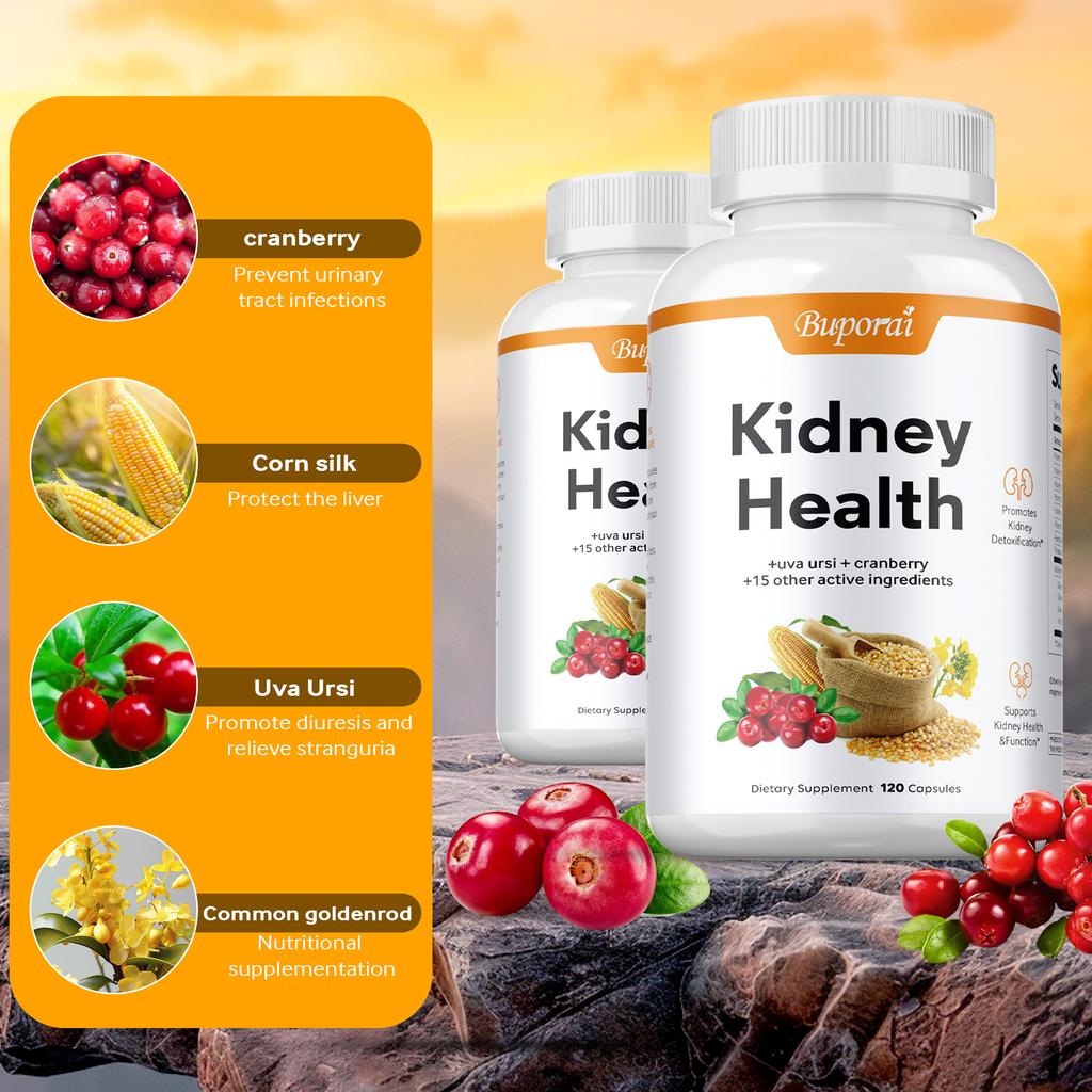 Kidney Health Support Supplement, Containing Bearberry and Cranberry Extracts, Supports Kidney Health.
