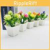 Simulation Potted Orchid Plastic Flower Furniture Living Room Ornaments Car