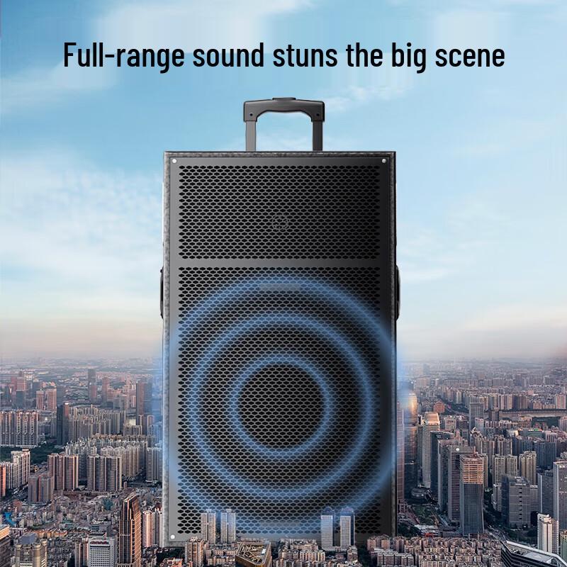 Newman N550 12-inch Outdoor Portable Bluetooth Speaker