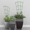 Outdoor Grade Climbing Vine Trellis Metal Metal Plant Stake New Potted Plant Rack  Flower Support