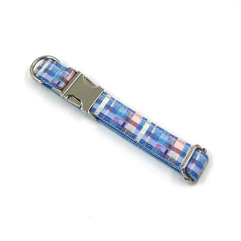 Engraved Metal Buckle Dog Leash and Collar for Small to Medium Dogs
