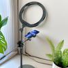 Desktop Overhead Phone & Tablet Holder with Fill Light for Photography and Video Recording