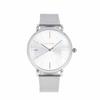 Paul Smith MA Quartz Men's Watch P10102 Silver