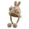 Winter Plush Hat Cute Rabbit Ear Hat Women's Outdoor Warm Thickened Ear Protection Cycling Pullover Hat BM