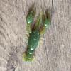 10Pcs/Pack 2.2g/5cm Soft Shrimp Lure Vivid PVC Plastic Strong Flexible Shrimp Bait for Saltwater