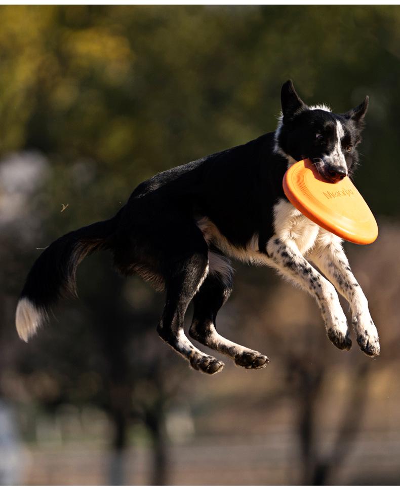 Frisbee Suave TPR Resistente a Mordiscos Meianju - Juguete Flotante Interactivo para Mascotas